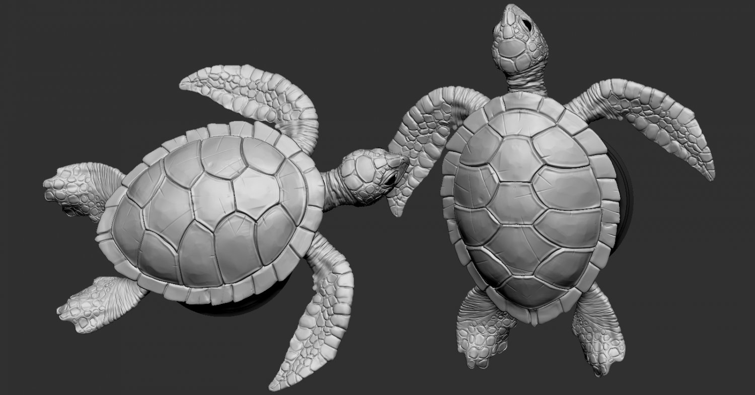 Черепаха 3д. Черепаха 3д модель. СТЛ модель черепахи. Черепаха на 3д принтере.