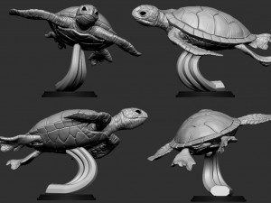 turtle 3D प्रिंट मॉडल
