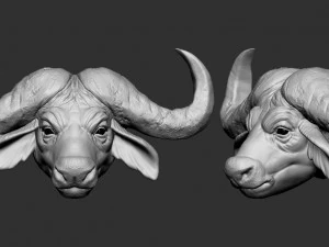 cabe&ccedil;a de b&uacute;falo Modelo de Impressão 3D