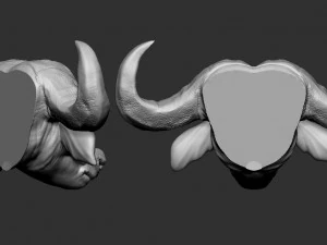 cabe&ccedil;a de b&uacute;falo Modelo de Impressão 3D