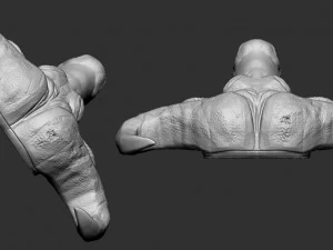 cabe&ccedil;a de b&uacute;falo Modelo de Impressão 3D