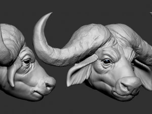 cabe&ccedil;a de b&uacute;falo Modelo de Impressão 3D