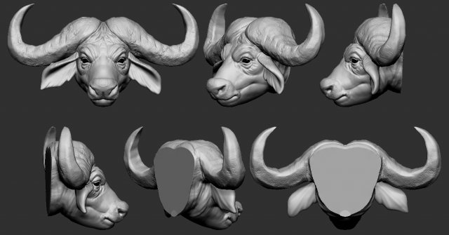 buffalo head 3D Print Model .c4d .max .obj .3ds .fbx .stl .blend 