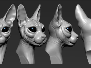 cat sphynx 3D Print Model