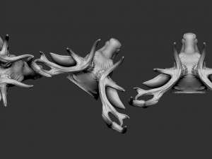 deer head Modelo de impresión 3D
