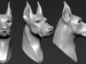 doberman head 3D 打印模型