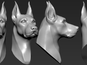 doberman head 3D 打印模型