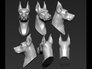 doberman head 3D 打印模型