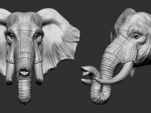 elephant head Modèles 3D en vedette