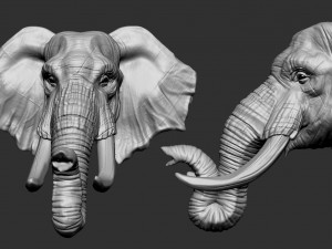 elephant head Modèles 3D en vedette