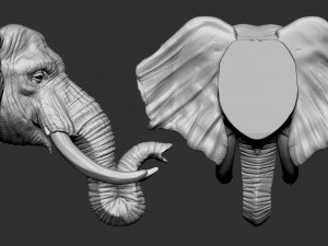 elephant head Modèles 3D en vedette