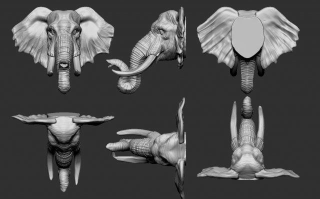 elephant head Modèles 3D en vedette .c4d .max .obj .3ds .fbx .stl .blend 