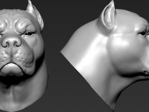 pitbull head Modelo de Impressão 3D