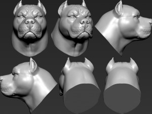 pitbull head Modelo de Impressão 3D