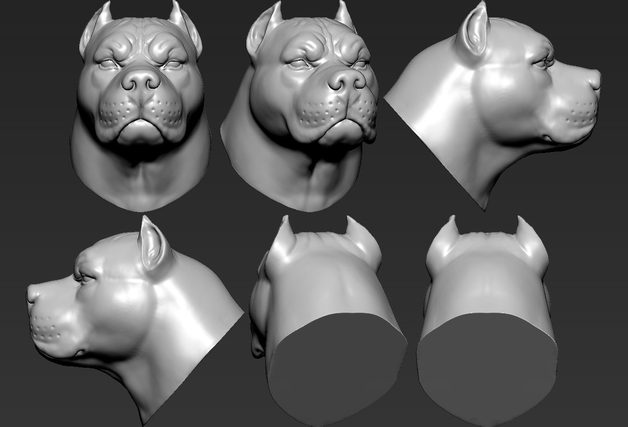 pitbull head 3d model in sculpture 3dexport