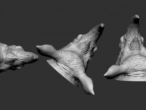 hino head 3D Print Model