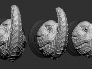pholidota hanger hook 3D Print Model