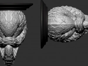 pholidota hanger hook 3D Print Model