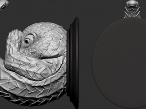 pholidota hanger hook Modelo de Impressão 3D