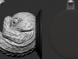 pholidota hanger hook 3D Print Model