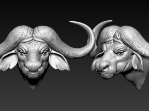 african buffalo head Modèles 3D en vedette