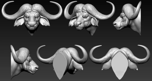 cabeça de búfalo africano Modelo de Impressão 3D .c4d .max .obj .3ds .fbx .stl .blend