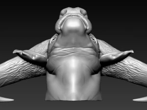cabe&ccedil;a de b&uacute;falo africano Modelo de Impressão 3D