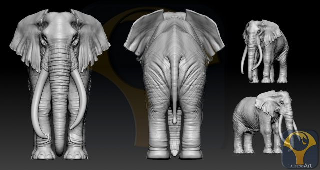 elephant african 3D Print Model .c4d .max .obj .3ds .fbx .stl .blend 