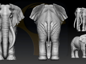 elephant african 3D प्रिंट मॉडल