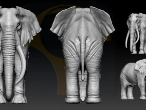 fil afrika 3D Baskı Modeli