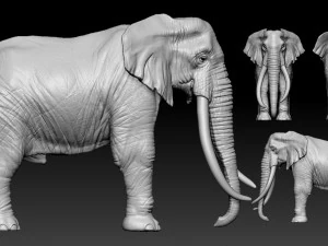 elefante africano Modelo de impresión 3D