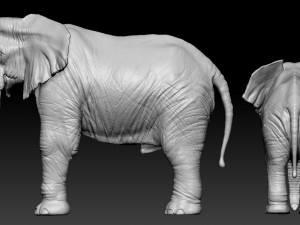elephant african 3D Print Model