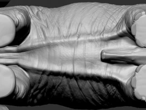 elefante africano Modelo de impresión 3D