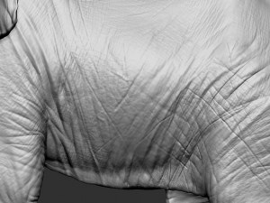 elephant african 3D Print Model