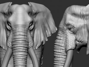 elephant african 3D Print Model