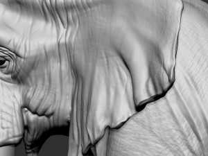 elephant african 3D Print Model