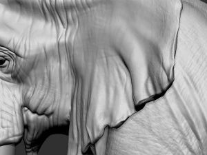 elefante africano Modelo de impresión 3D