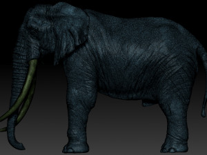 elephant african 3D Print Model