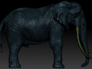 elephant african 3D Print Model