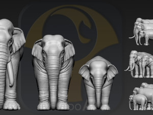 elephant asian 3D प्रिंट मॉडल