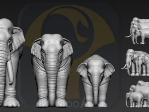 elephant asian 3D Print Model