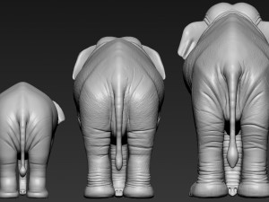 elephant asian Model Cetak 3D