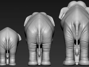 elephant asian 3D Print Model