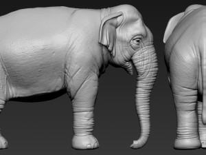 elephant asian Model Cetak 3D