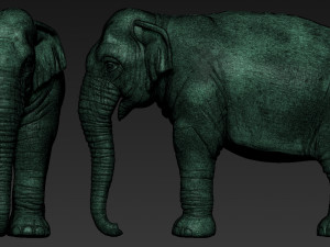 elephant asian Model Cetak 3D