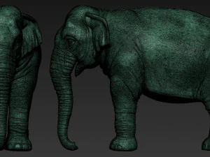 elephant asian 3D Print Model