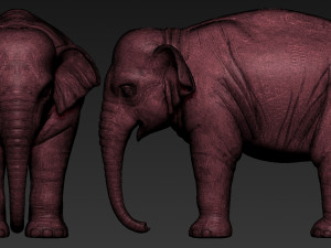 elephant asian Model Cetak 3D
