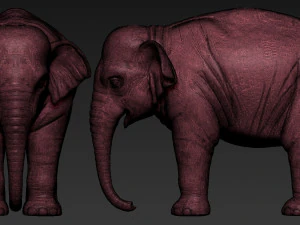 elephant asian 3D Print Model