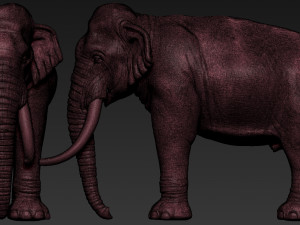 elephant asian Model Cetak 3D