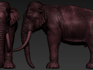 elephant asian 3D Print Model